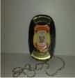 Distintivo com Brasão